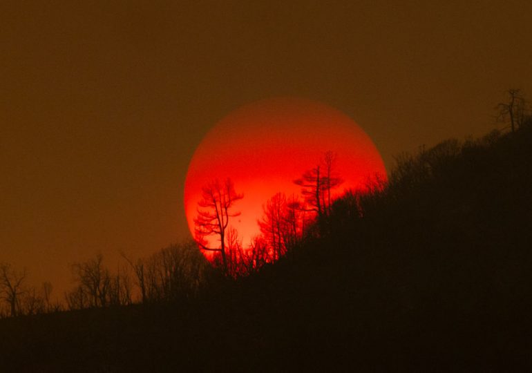 The World Has Seen Record-Breaking Temperatures for 12 Months. Experts Warn They Will Be ‘Comparatively Cold’ to the Future