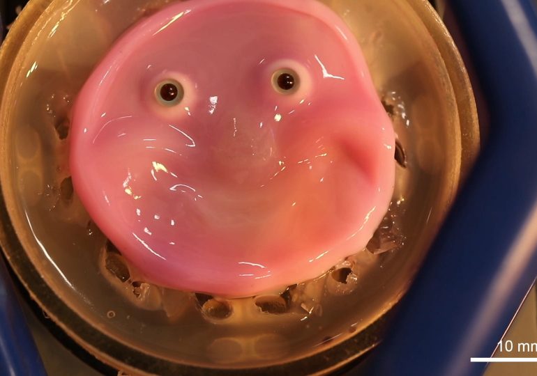 Researchers Unveil New Pink Blob of Moving Skin