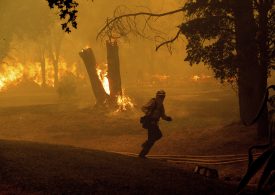 California Reports First Wildfire Death of the 2024 Season as Fires Persist Across the West