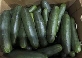 Florida Woman Sues Companies Over Cucumbers Linked to Salmonella Outbreak