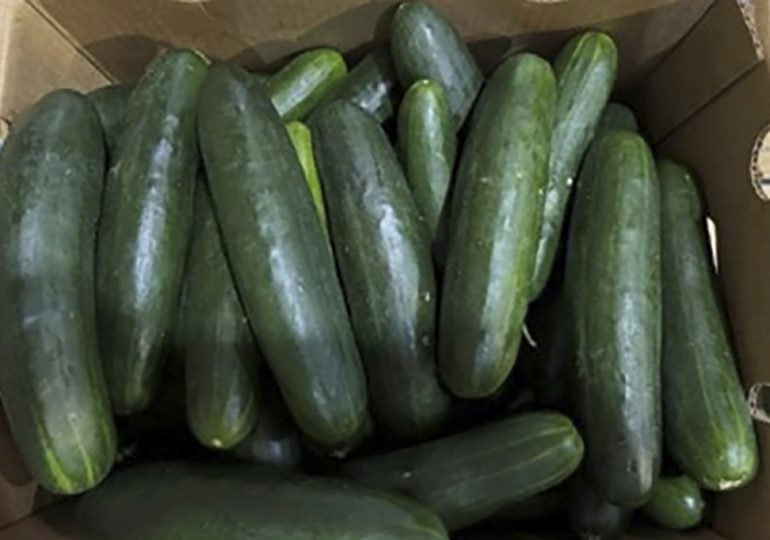 Florida Woman Sues Companies Over Cucumbers Linked to Salmonella Outbreak