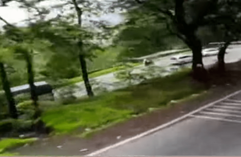 Watch horror moment passenger films tourist bus veering off road and plunging down gorge leaving two children dead