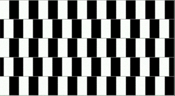 Are the black and white lines sloping or straight in the mind-bending illusion? You have a genius IQ if you work it out