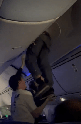 Shocking moment turbulence injures 30 and forces plane to land as passenger has to be removed from overhead locker