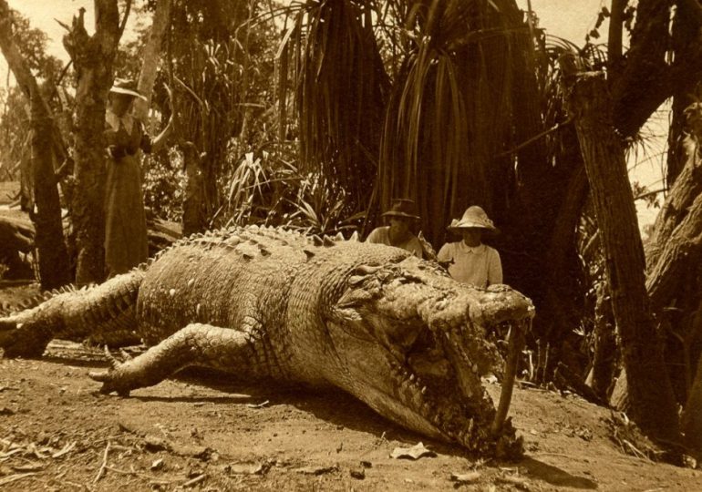 How daring female sharpshooter killed monster 28ft croc with one ‘perfect’ shot to save daughter – then regretted it