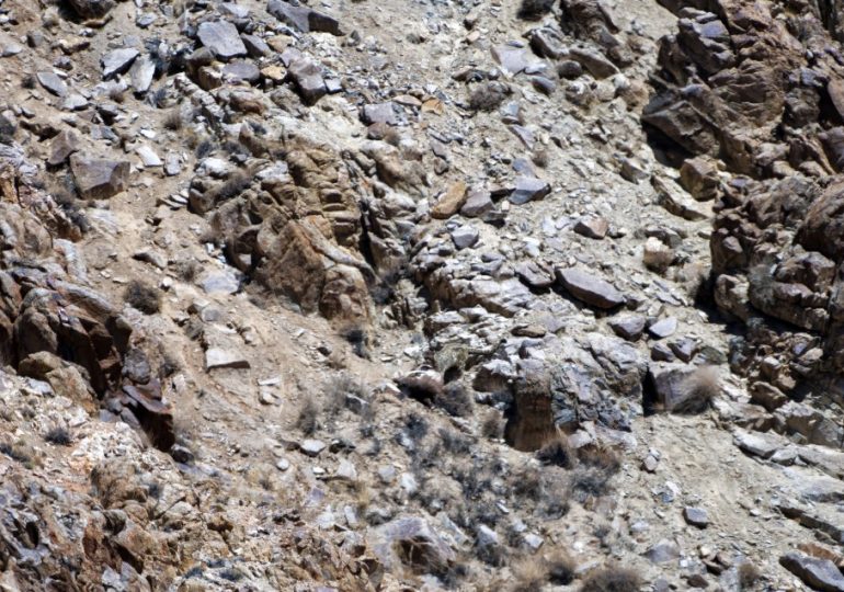 Everyone can see the rocks – but you have 20/20 vision & a high IQ if you can find the camouflaged leopard in 11 seconds