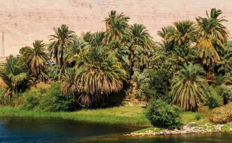 You have the eyes of a hawk if you can find the crocodile hiding in the desert oasis optical illusion in 12 seconds