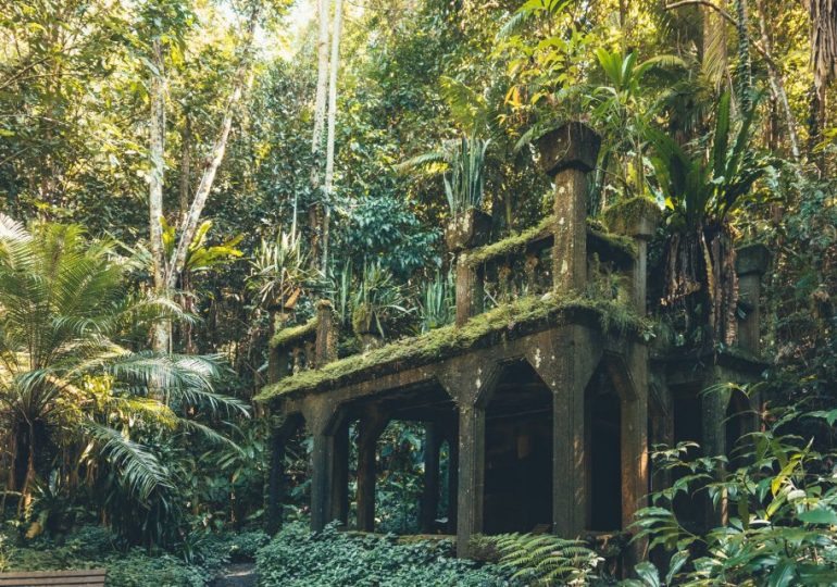 We bought abandoned castle left to rot in rainforest after floods, cyclones & fire – now we make thousands from it