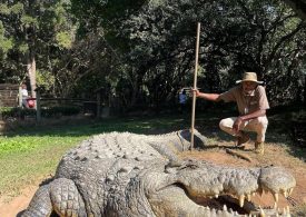 World’s oldest crocodile poses for a snap ‘after fathering more than 10,000 babies’