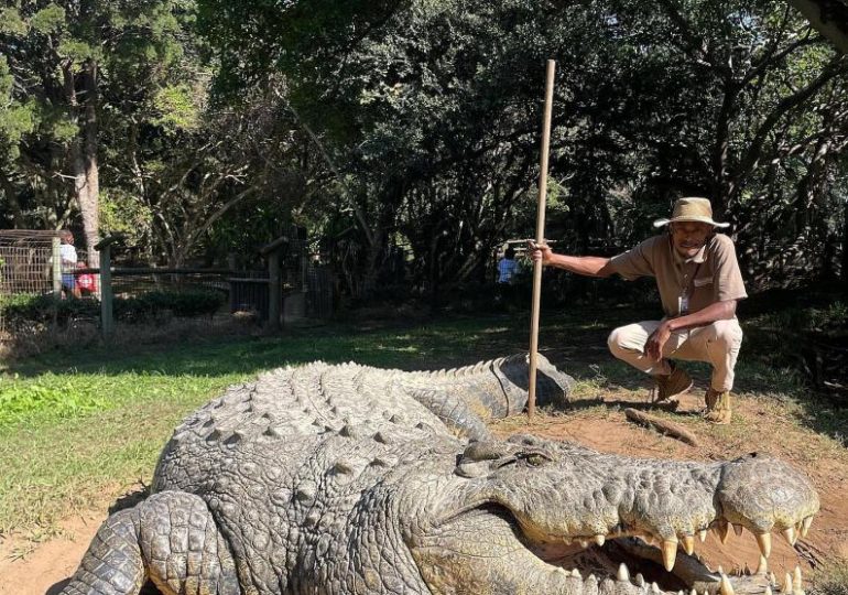 World’s oldest crocodile poses for a snap ‘after fathering more than 10,000 babies’