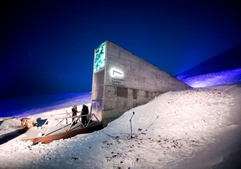 Remote arctic island ‘once home to Vikings’ & now inhabited by dangerous predators that hides chilling ‘Doomsday Vault’