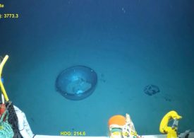 Chilling new vid of doomed Titan sub wreckage strewn across ocean floor shows dome crew peered through before implosion