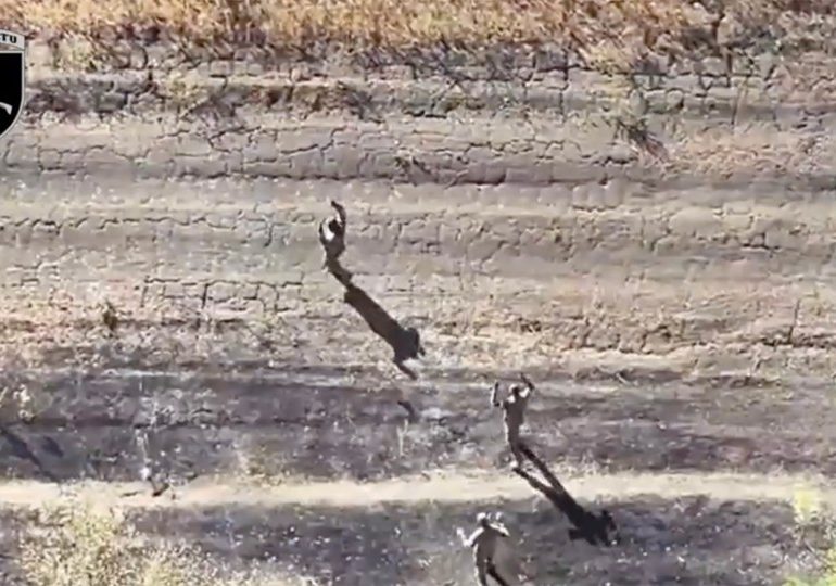 Horrifying moment Russian army bomb their OWN soldiers with kamikaze drone barrage as they surrender to Ukraine