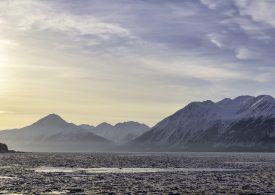 Why an Alaska Island Is Using Peanut Butter and Black Lights to Find a Rat That Might Not Exist