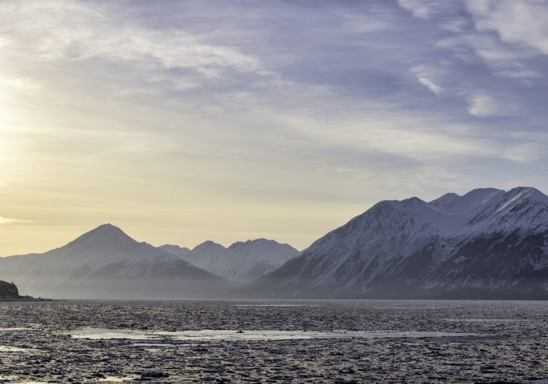 Why an Alaska Island Is Using Peanut Butter and Black Lights to Find a Rat That Might Not Exist