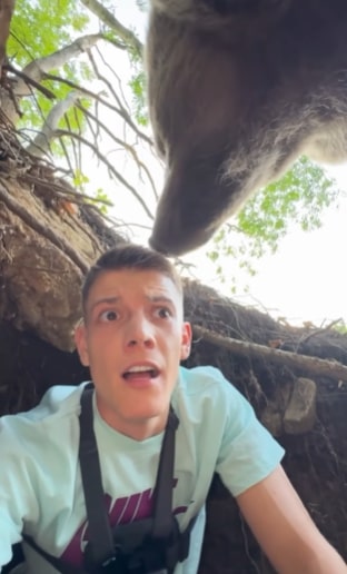 Heart-stopping moment idiot influencer comes face-to-face with massive bear after trying to sneak into beast’s den