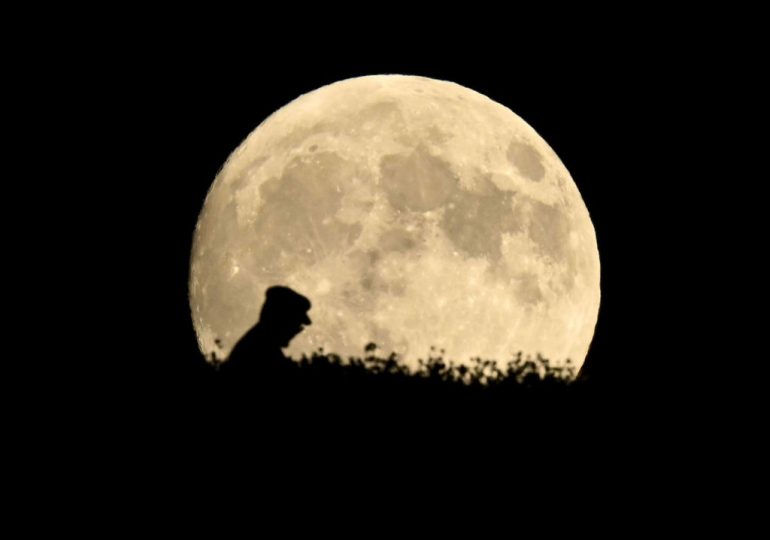 How to Watch Tonight’s Rare Harvest-Blood-Supermoon