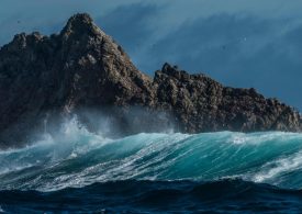 Inside ‘Island of the Dead’ surrounded by sharks, shipwrecks & radioactive waste and why horrid stench keeps humans away