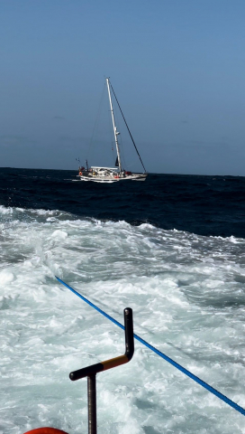 Killer whales attack ANOTHER yacht in Spain but experts say orcas are ‘just having fun’ and think rudders are TOYS