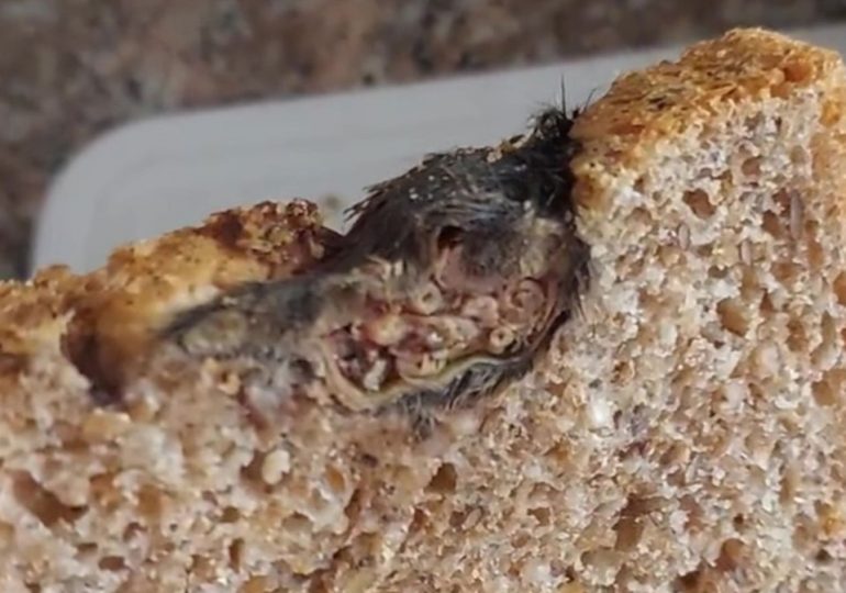 Woman horrified to find dead RAT sliced in half in her loaf of bread… but only after she’d already eaten some of it