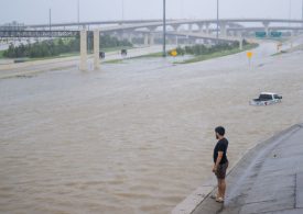 How Meteorologists Are Using AI to Forecast Hurricane Milton and Other Storms