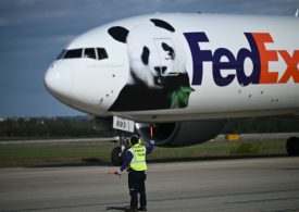 Pandas Arrive in the U.S. Next Stop Is the National Zoo