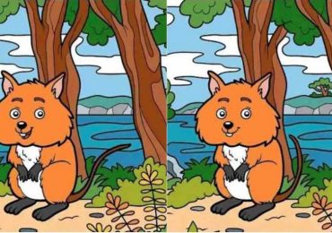 Everyone can see the fox but you have 20/20 vision if you spot the 10 differences between these two scenes in 15 secs