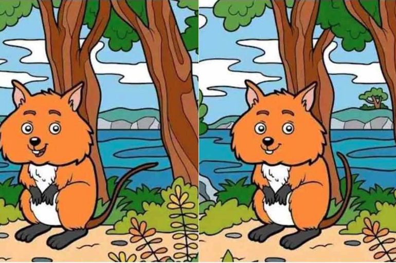 Everyone can see the fox but you have 20/20 vision if you spot the 10 differences between these two scenes in 15 secs