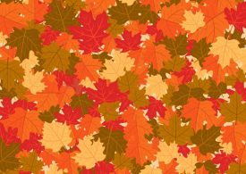 Everyone can see the autumn leaves – but you have 20/20 vision & a high IQ if you can spot the squirrel in 8 seconds