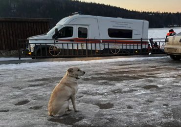 Heartbreaking moment loyal dog waits for FOUR DAYS for return of owner who’d fallen through ice and drowned