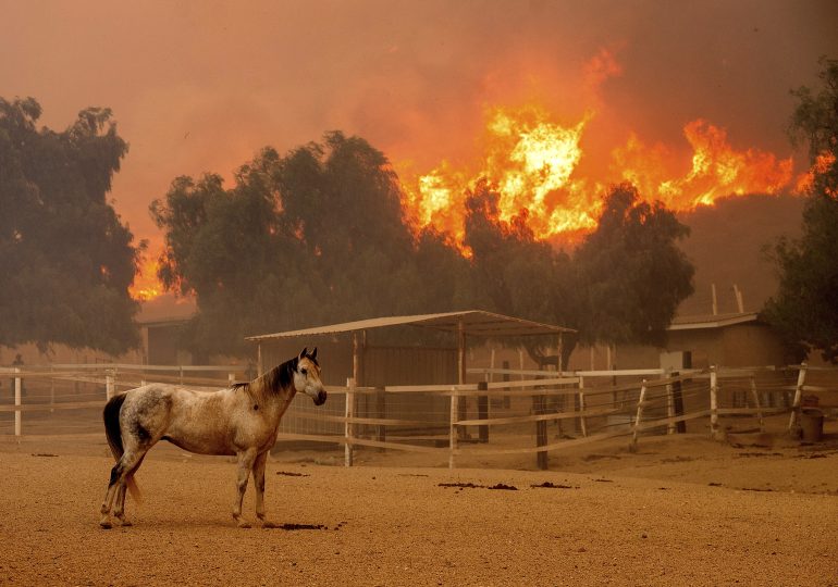 Southern California Wildfire Destroys 132 Structures as Officials Look for Fierce Winds to Subside