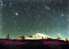 You Won’t Want to Miss the Leonid Meteor Shower. Here’s How and When You Can See It