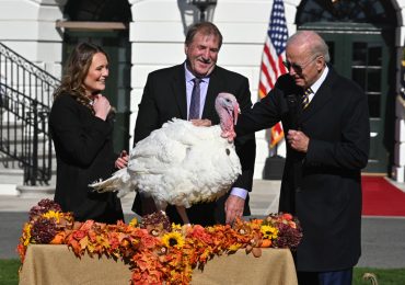 The Luxurious Lives of the Turkeys Getting a Presidential Pardon