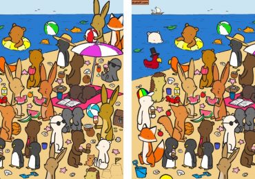 Everyone can see the beach with the happy animals – but can you spot all the differences in 11 seconds