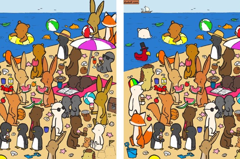 Everyone can see the beach with the happy animals – but can you spot all the differences in 11 seconds