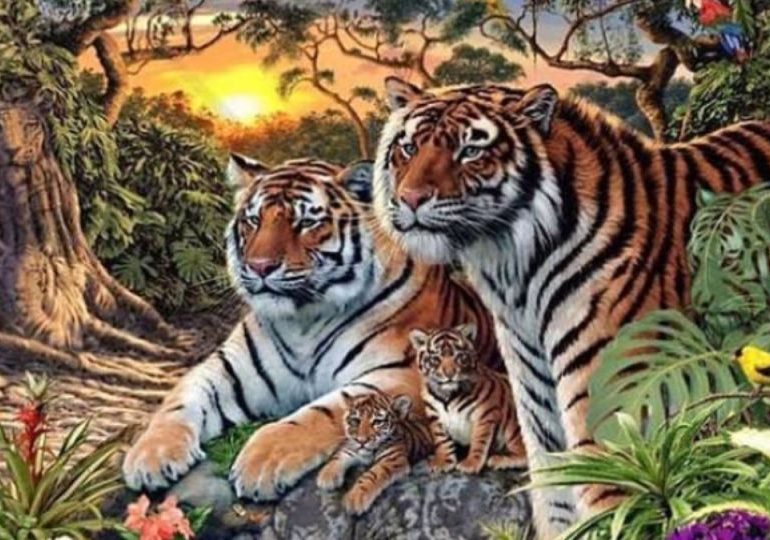 Only people with the sharp eyes of a top hunter can find the 16 tigers hiding in this illusion in just 9 seconds