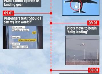 Minute-by-minute breakdown of South Korea plane crash from ‘bird strike’ to mayday call & fireball that killed 179