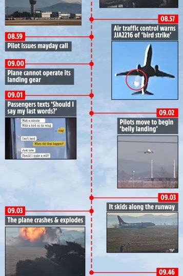 Minute-by-minute breakdown of South Korea plane crash from ‘bird strike’ to mayday call & fireball that killed 179