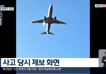 What caused South Korea plane crash? Shock vid shows ‘bird strike’ & survivor heard ‘explosion’ before deadly landing