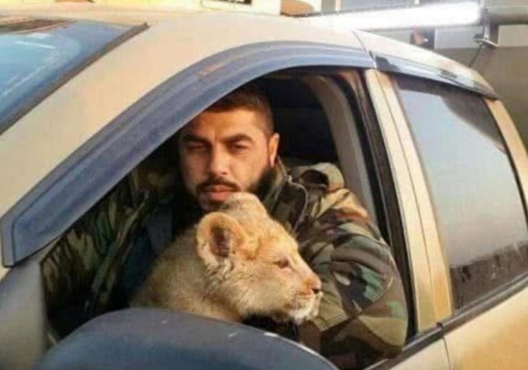 Cruel member of Syria’s sinister Tiger Forces who fed Assad’s prisoners to his pet LION ‘is publicly executed by rebels’