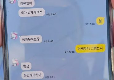 Heartbreaking final text of passenger on doomed South Korea plane as they asked loved one: ‘Should I say my last words?’