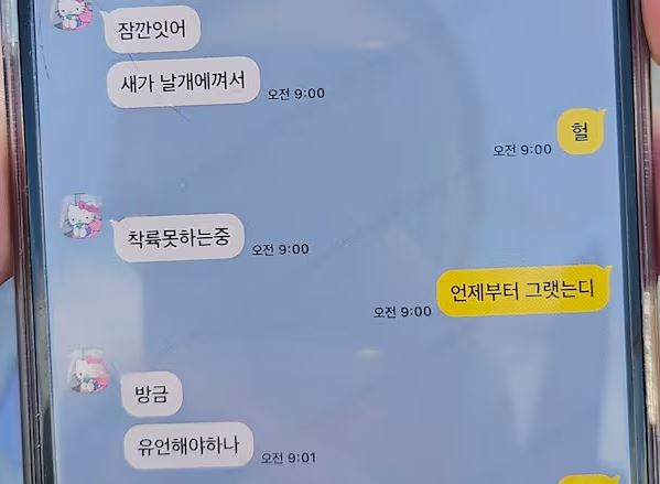 Heartbreaking final text of passenger on doomed South Korea plane as they asked loved one: ‘Should I say my last words?’