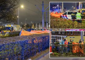 Teenager, 14, dies after New Years Eve firework exploded in his hands in tragic accident in the Netherlands