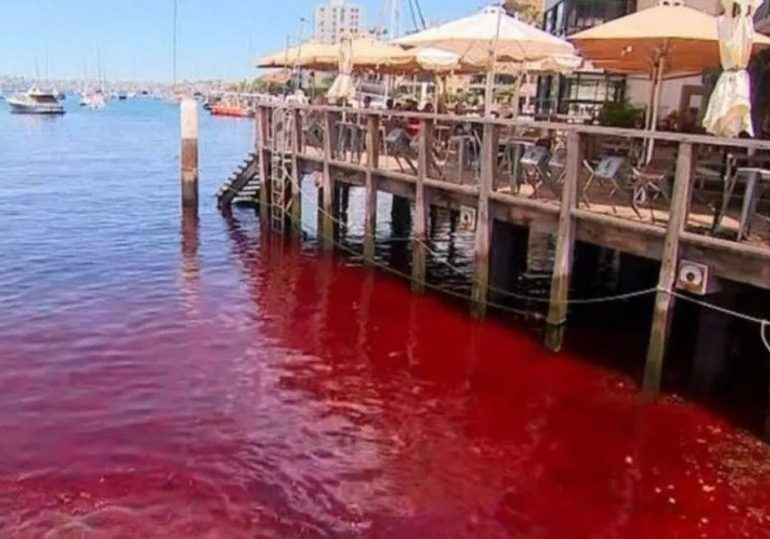 Watch as waters near global landmark mysteriously turn BLOOD RED – and officials don’t know what’s caused it