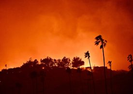 How Small Airborne Embers Play a Big Role in Spreading Wildfires