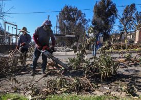 How Domestic Workers Have Been Impacted by the Los Angeles Fires