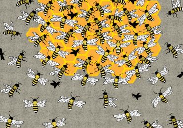 Everyone can see the bees – but you have 20/20 vision & high IQ if you can spot the queen in 11 seconds