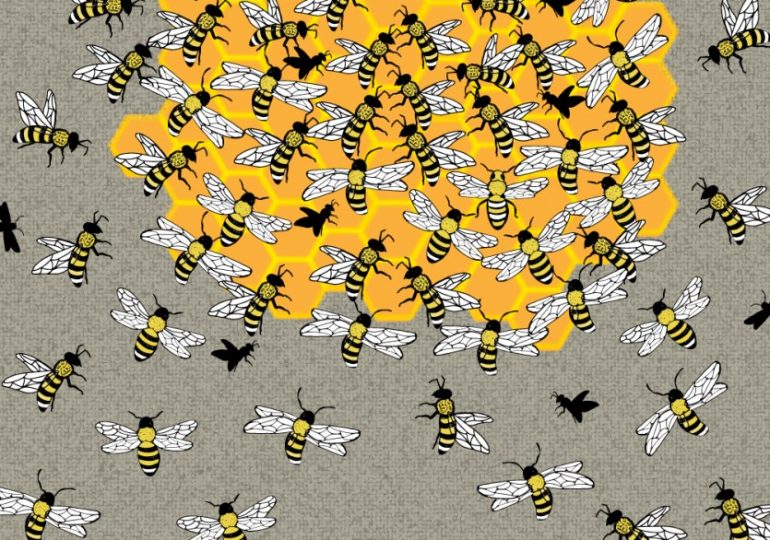 Everyone can see the bees – but you have 20/20 vision & high IQ if you can spot the queen in 11 seconds