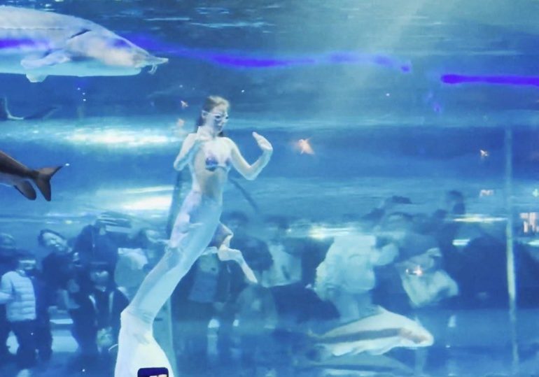 Watch horror moment giant fish BITES mermaid’s head leaving crowd screaming in terror as aquarium show goes wrong