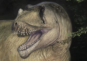 Behemoth horned dinosaur that roamed Earth 95million years ago discovered after fossils of 10metre beast were destroyed